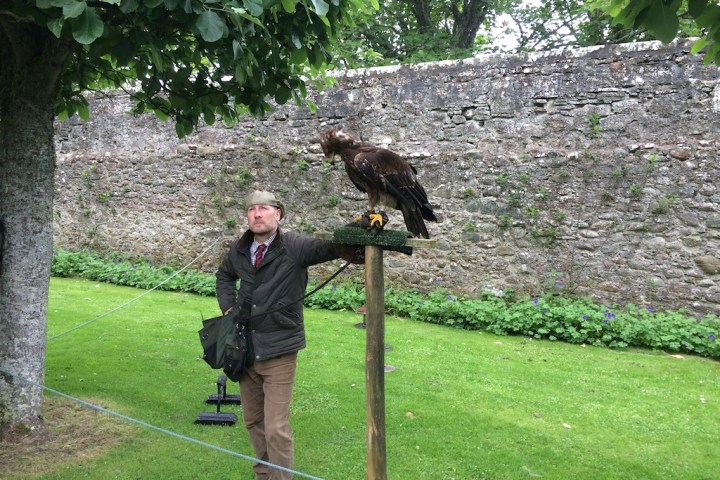 a person that is standing in the grass