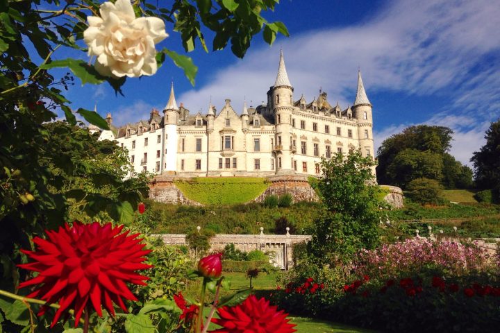 a close up of a flower garden in front of a castle
