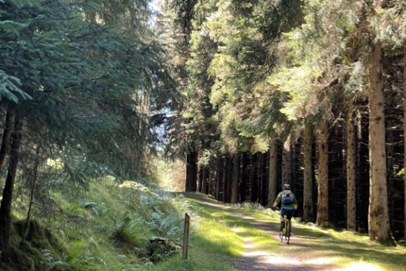 a man riding on a trail in a forest