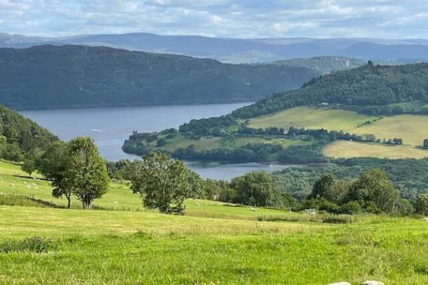 a large green field with a mountain in the background