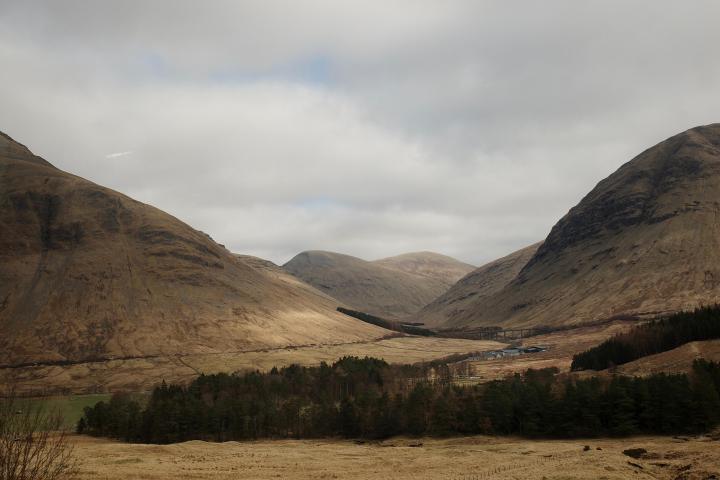 a field with a mountain in the background