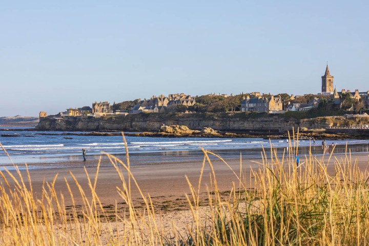 Coastal town view with sandy beach, waves, and buildings on cliff; tall grass in foreground.