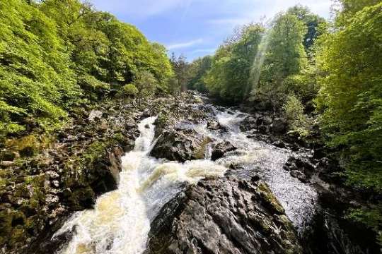 a waterfall in a forest