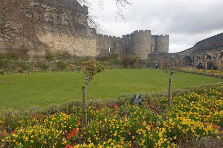 a castle on top of a grass covered field