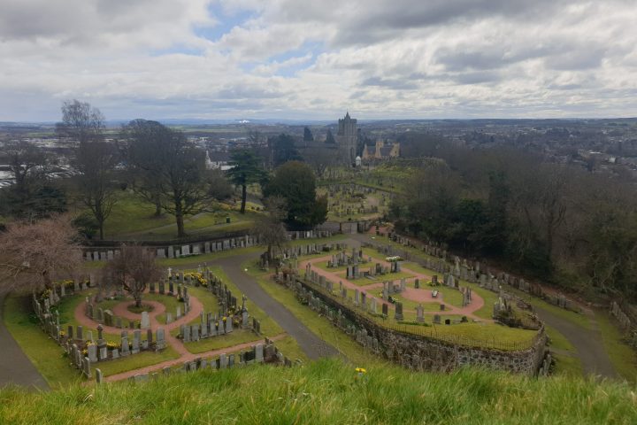 a view of a lush green field
