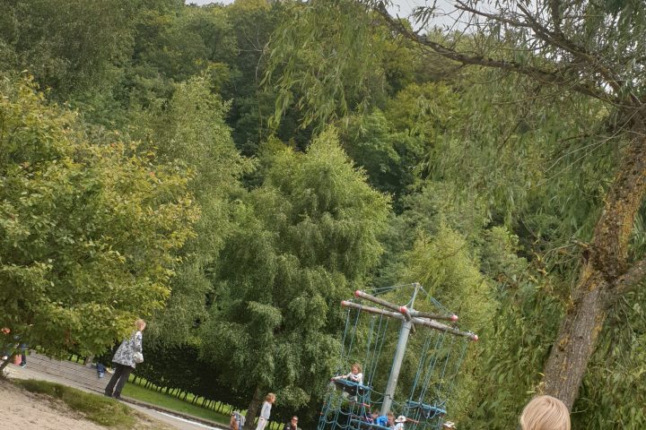 a group of people standing next to a tree