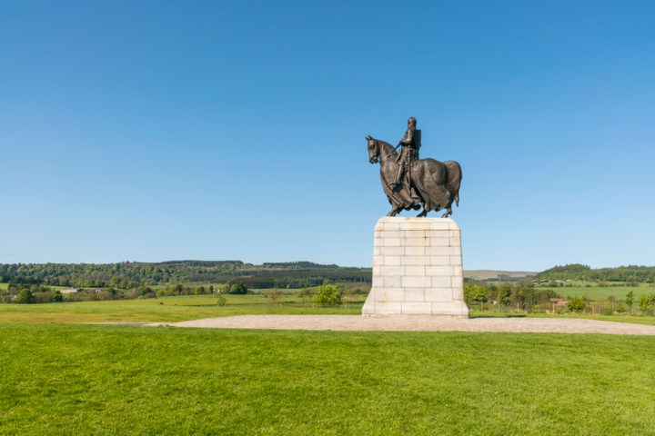 a close up of a green field