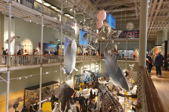 a group of people standing in front of a store