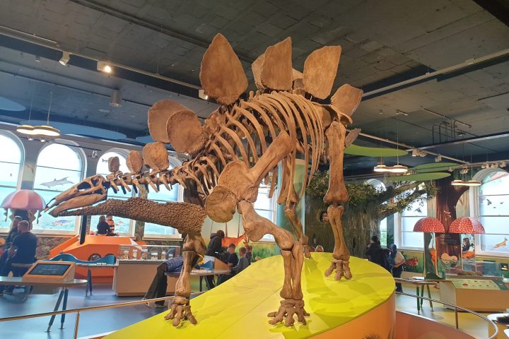 a dinosaur on a table