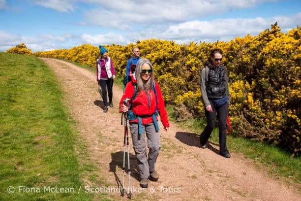 Four people hiking along a path with yellow flowering bushes under a partly cloudy sky.